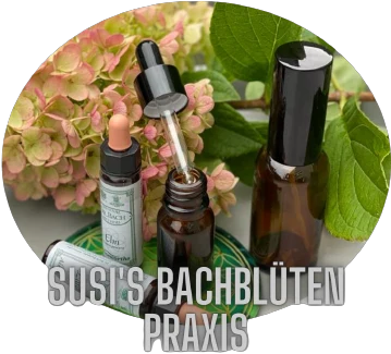 Logo: Susi's Bachblüten Praxis – Bachblüten-Fläschchen vor Hortensien